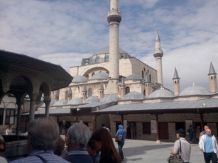 IMG_20140610_094749.jpg 2560x1920 index 104